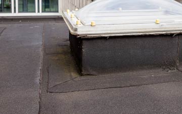 disadvantages of Pitts flat roofs