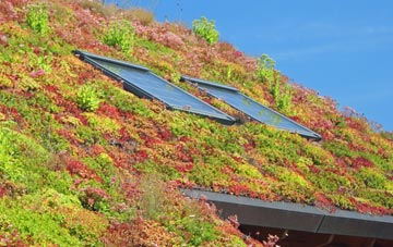 Pitts living roof systems