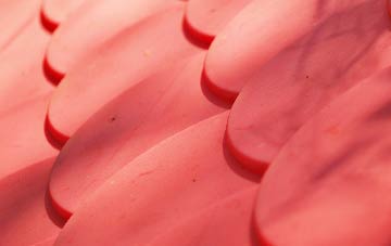 Pitts plastic roof costs