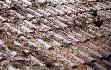 Pitts roof cleaning companies